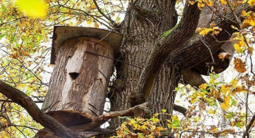 Vlastnosti řízení a význam palubního včelaření